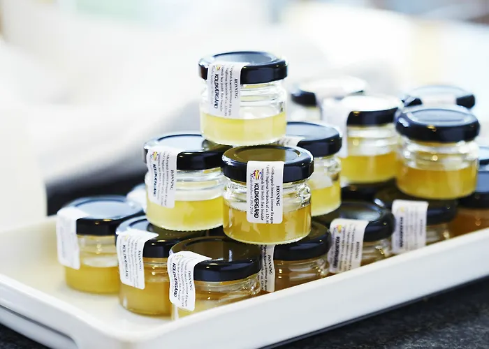 Horisont & Konference 3* Århus